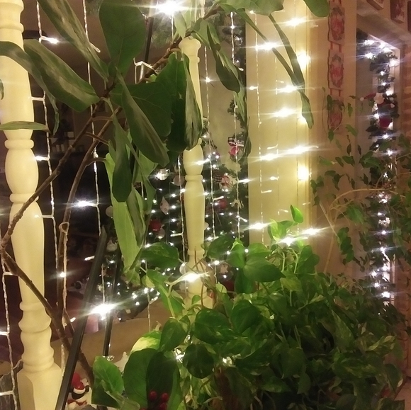 Meet your Posher, Carlos rodriguez - Picture 2 of 7